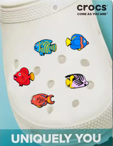 Fish collection (1)